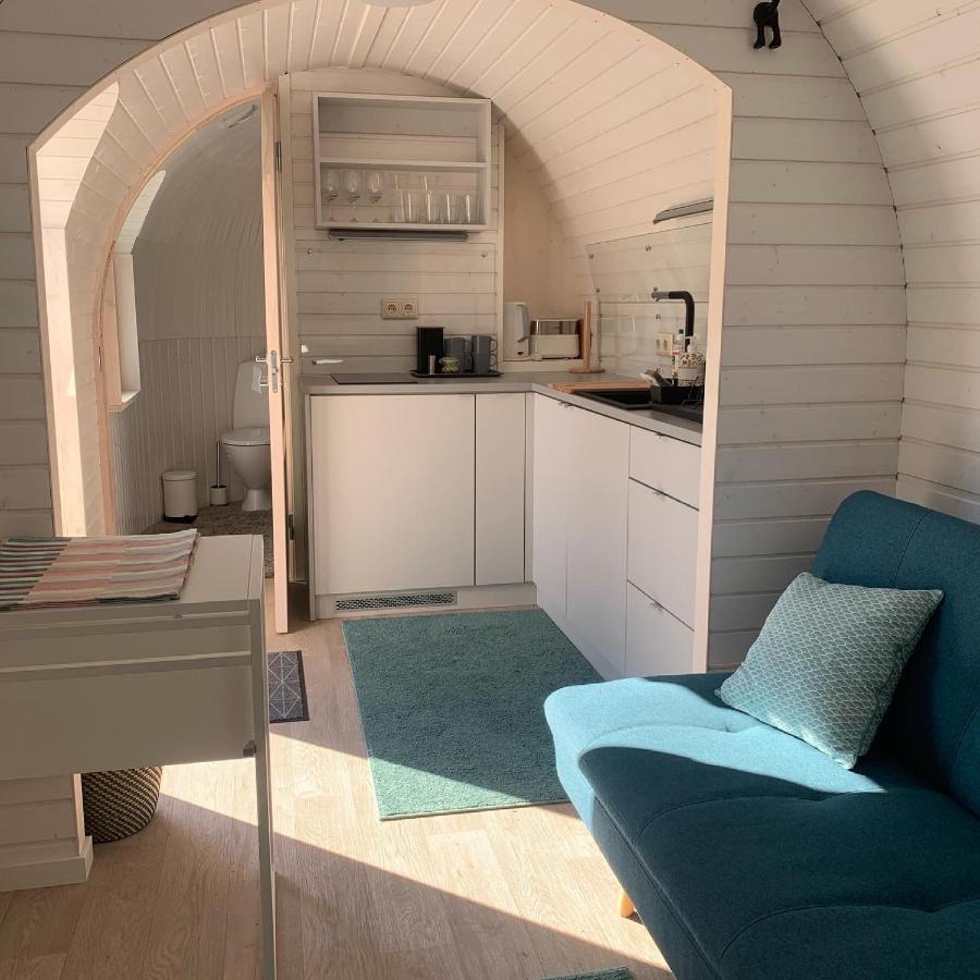 Kuldallika Igloo House And Iglusauna Kullamae Extérieur photo